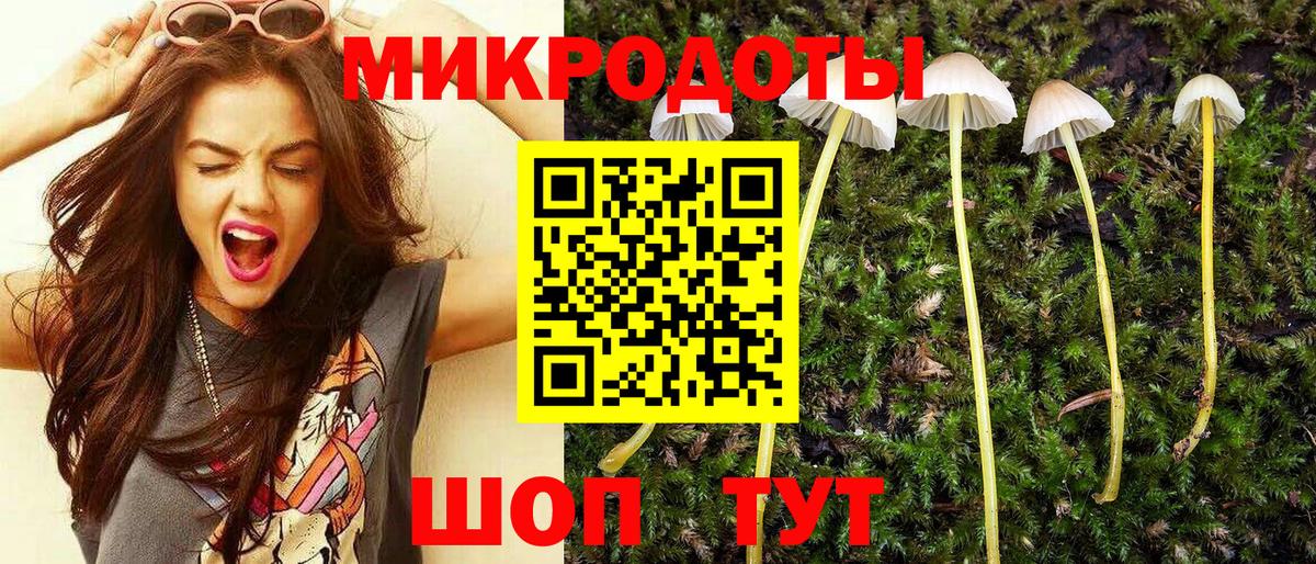 Галлюциногенные грибы Psilocybe Калининград