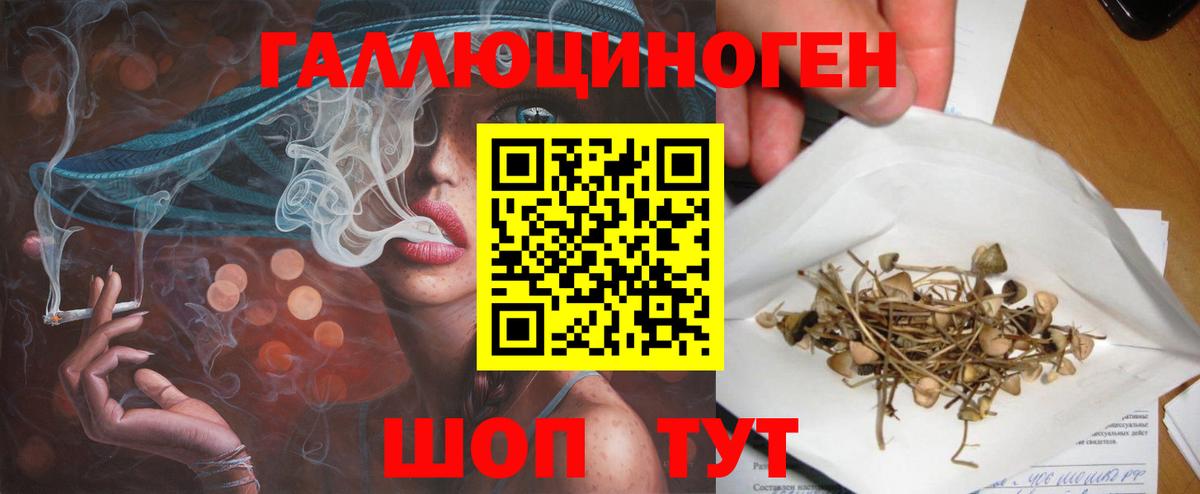 закладки  Галлюциногенные грибы мухоморы  Вход с VPN  Галлюциногенные грибы GOLDEN TEACHER  Калининград 